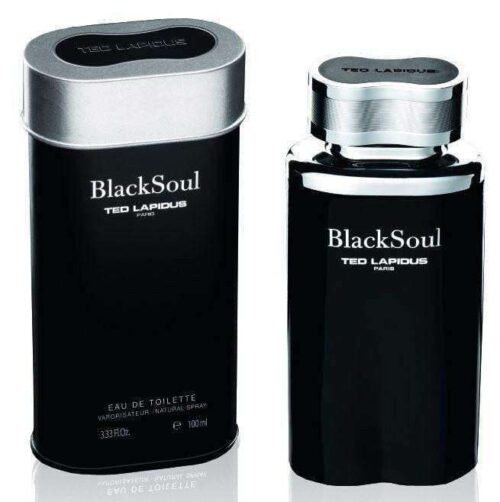 Ted Lapidus Black Soul 100ml Edt   Ted Lapidus For Him