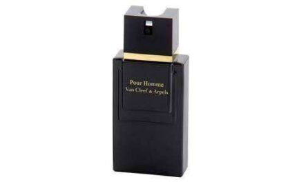 Van Cleef & Arpels Pour Homme - Tester   Van Cleef & Arpels Tester Men